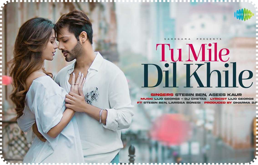 Tu Mile Dil Khile - Remix (2023)